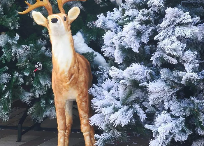 Apartament Center Krajowa